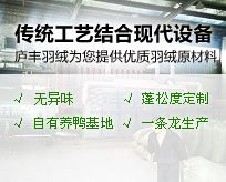 庐丰羽绒